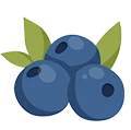 A cartoon-style illustration of blueberries with green leaves.