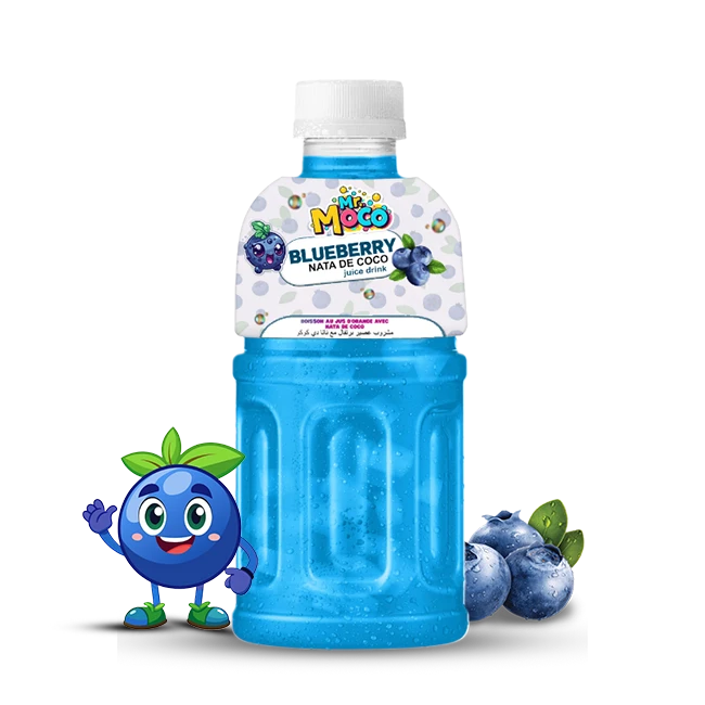 Mr. Moco Blueberry Nata de Coco juice drink bottle with a cheerful blueberry character and fresh blueberries.