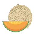 A cartoon-style illustration of a whole cantaloupe melon and a sliced piece.