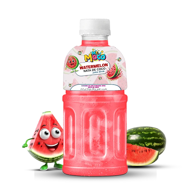 Mr. Moco Watermelon Nata de Coco juice drink bottle with fresh watermelon slices and a cartoon watermelon character.