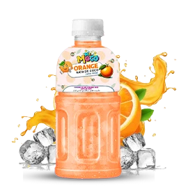 Mr. Moco Orange Nata de Coco juice drink bottle with fresh orange slices and ice cubes.