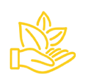 Yellow line-art icon of a hand holding three leaves, symbolizing growth, sustainability, or environmental care.